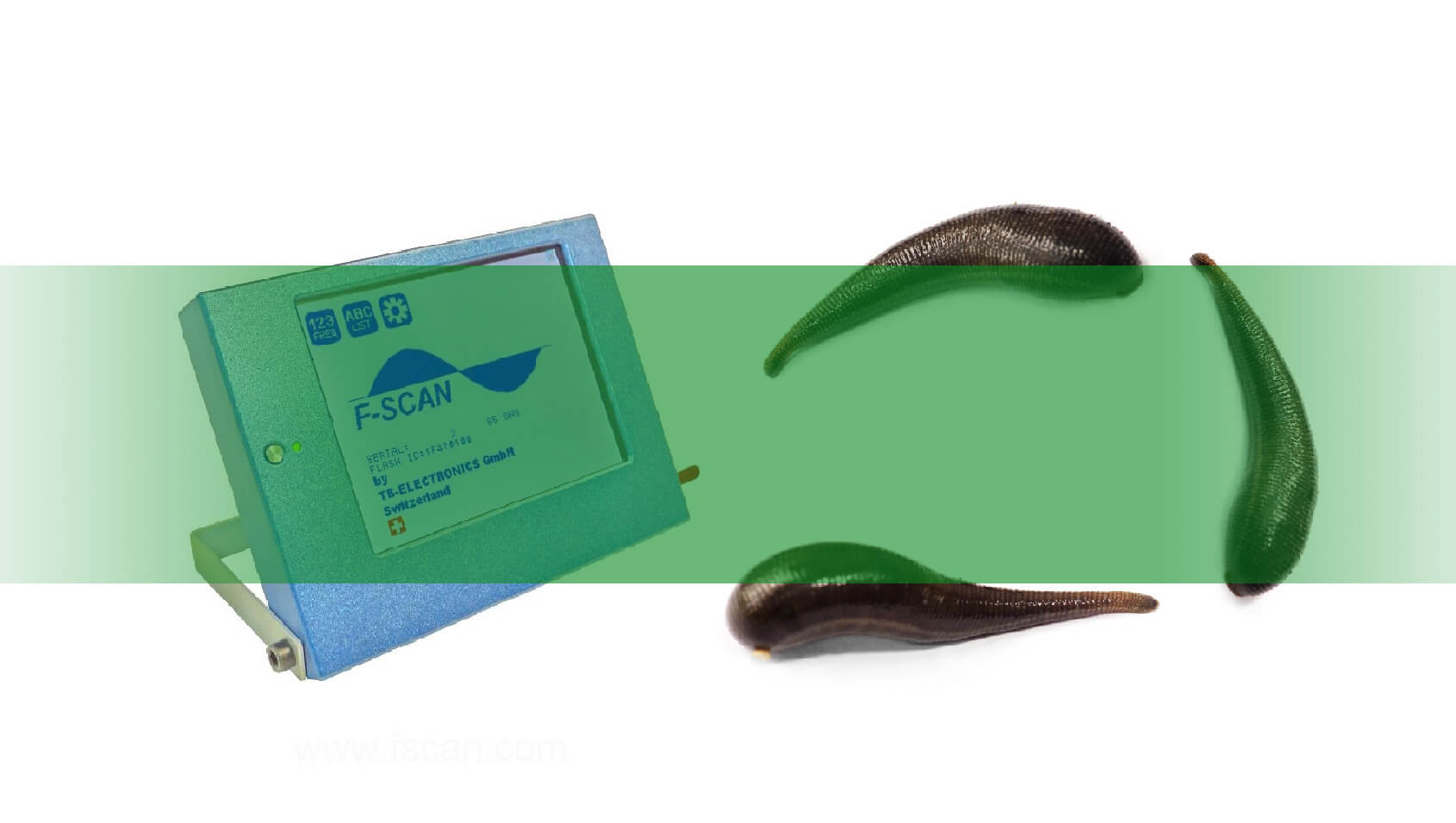 Biorezonans & Hirudoterapia