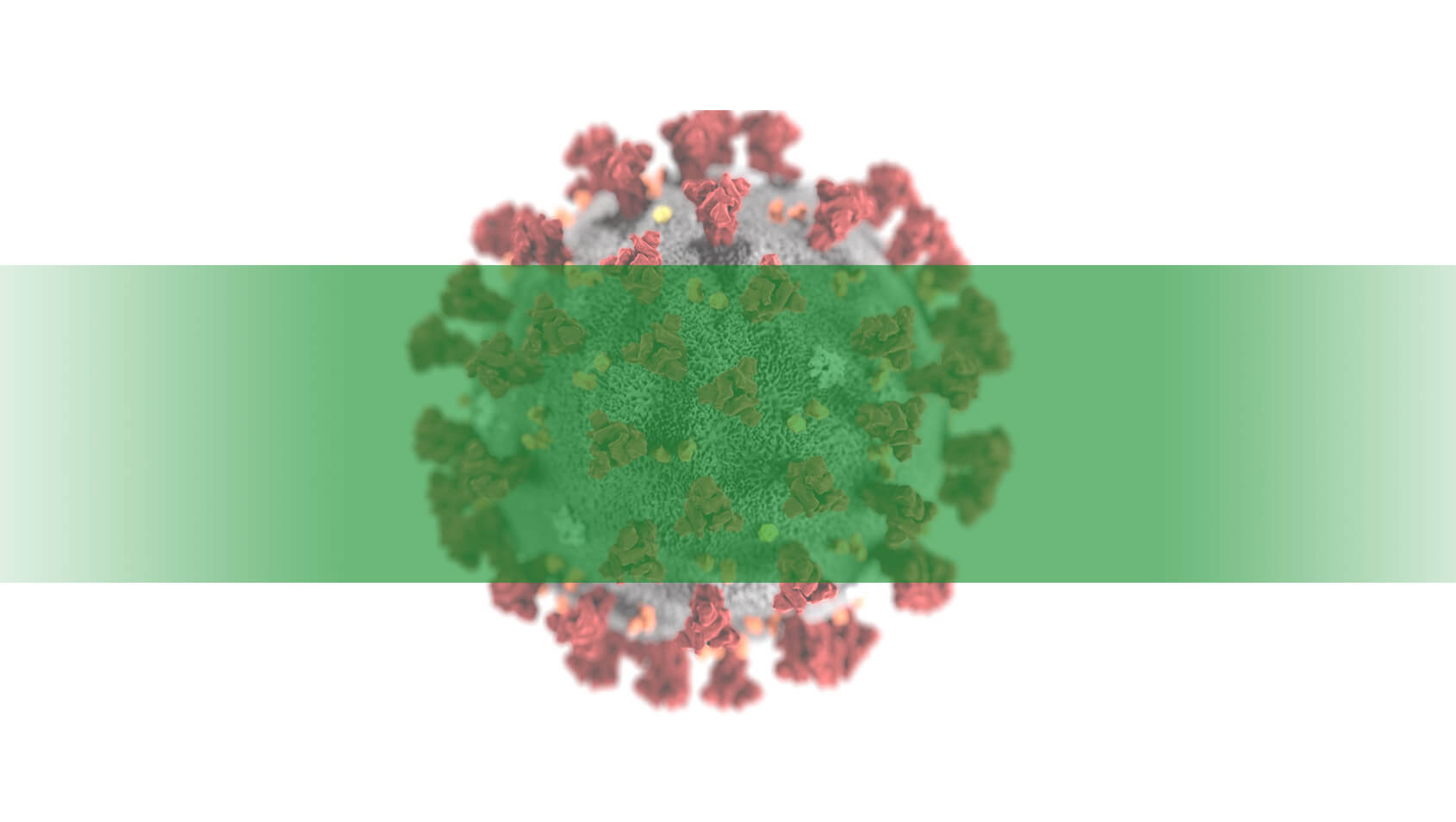 Leczenia koronawirusa biorezonansem